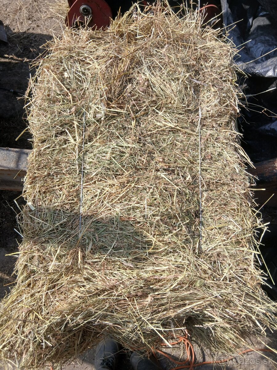 Predám malé hranaté baliký sena. - 2