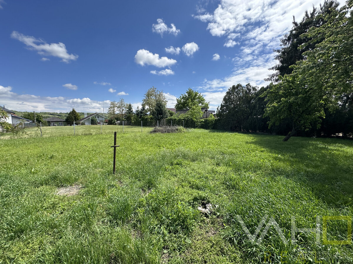 Rodinný dom s veľkým pozemkom a potenciálom – Siladice - 2