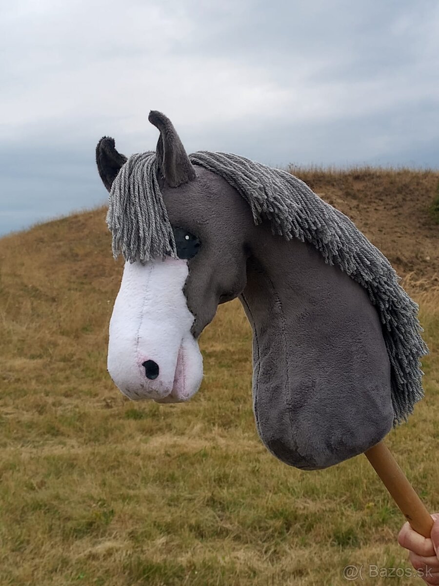 Hobby horse - 2