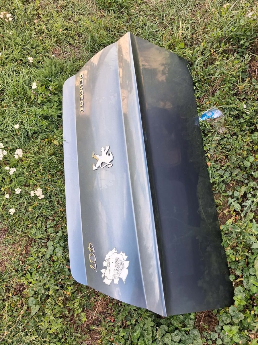 Peugeot 407 - 2