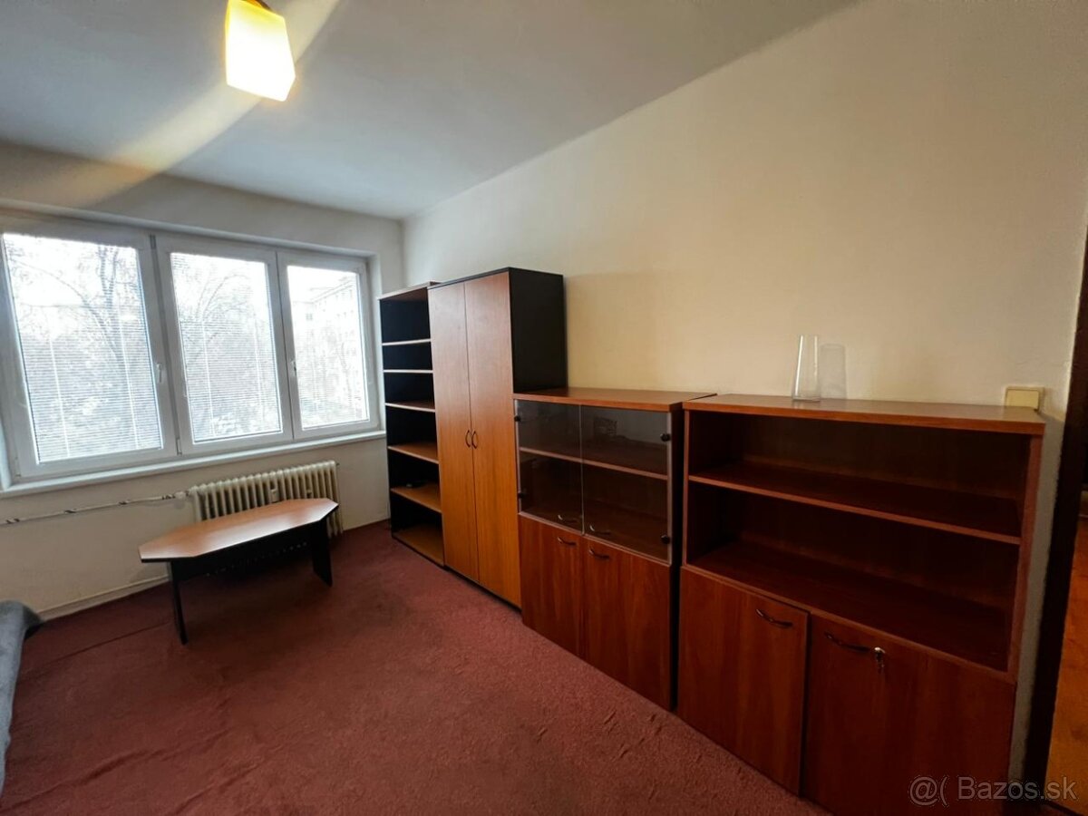 jedna izba v 2izb. byte - 2