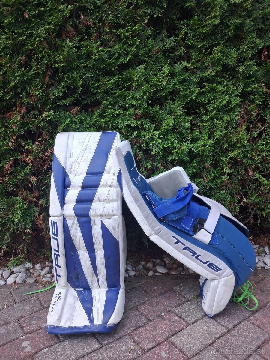 Predaj brankárskej výstroje TRUE CATALYST - 2