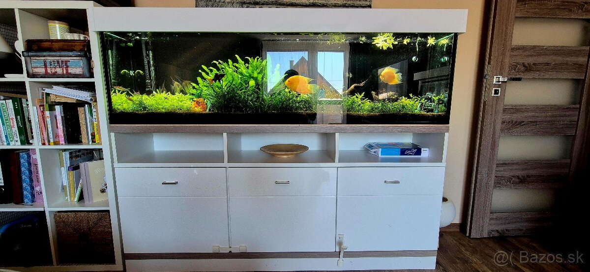 Predám 400l akvárium 180cm komplet + Eheim filter + CO2 - 2