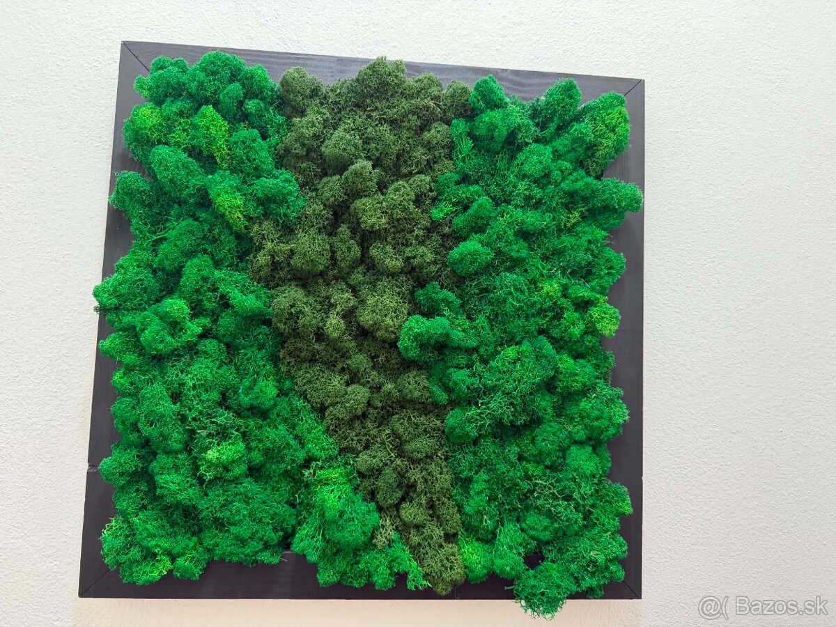 Machovy obraz 49x 49 cm - 2