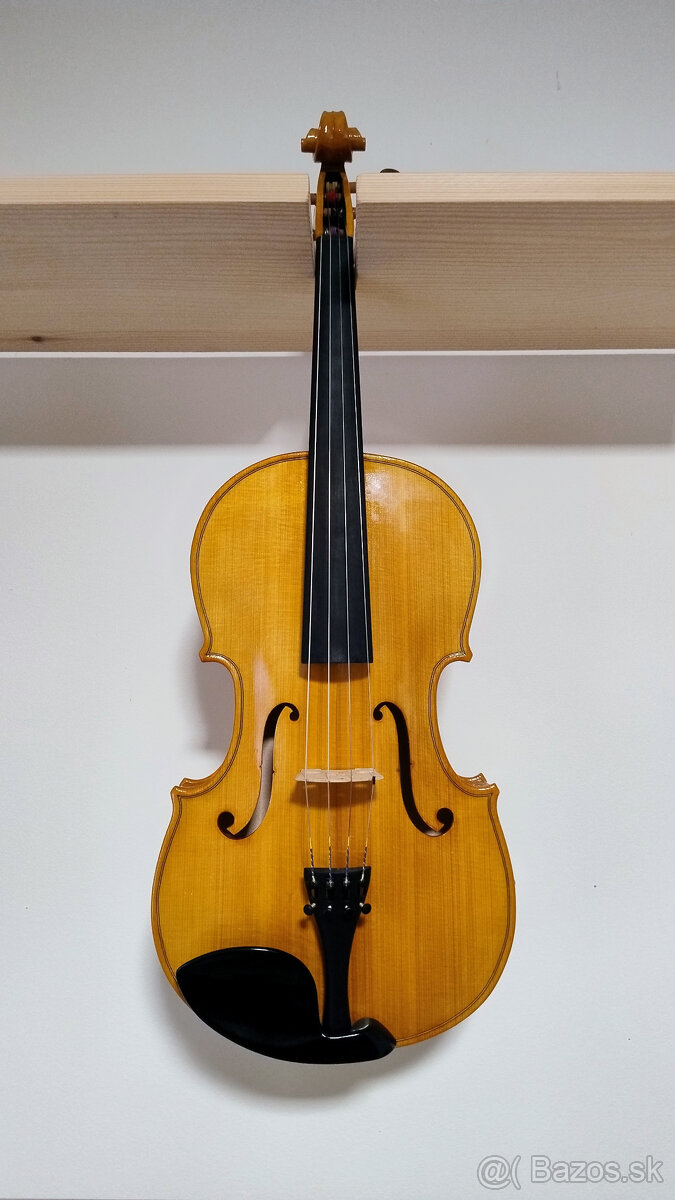 Viola 38,5 - Brasnyó Antal (Győr) - 2