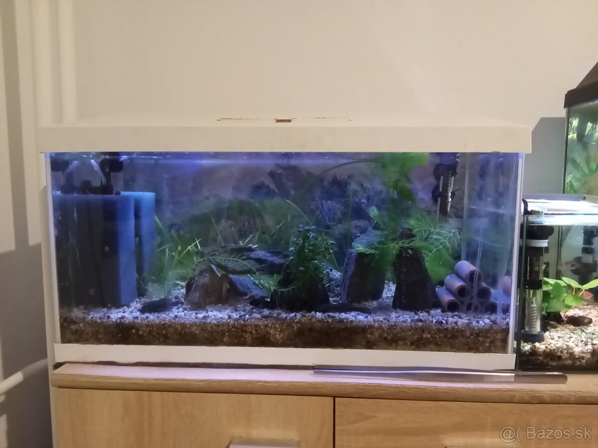 Predám akvárium - 2