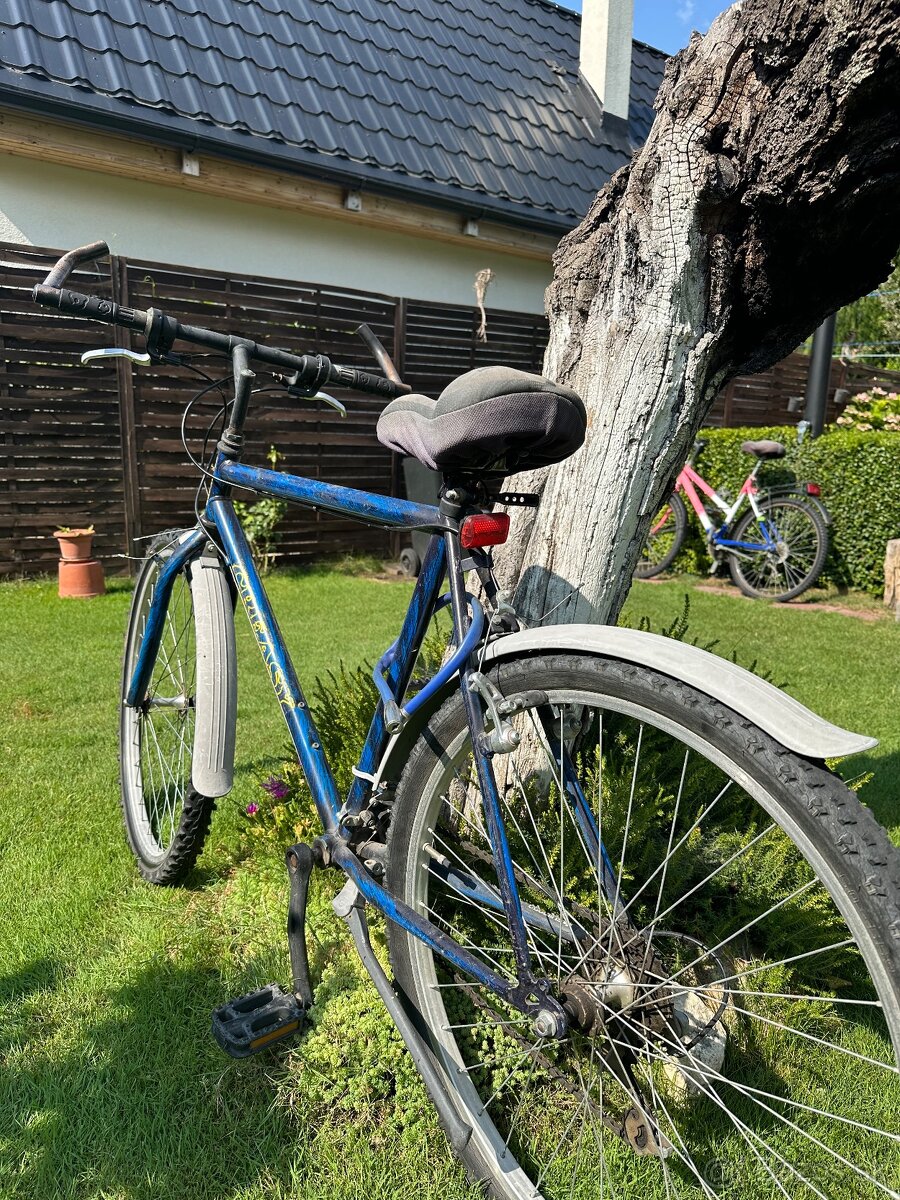 Pánsky bicykel - 2