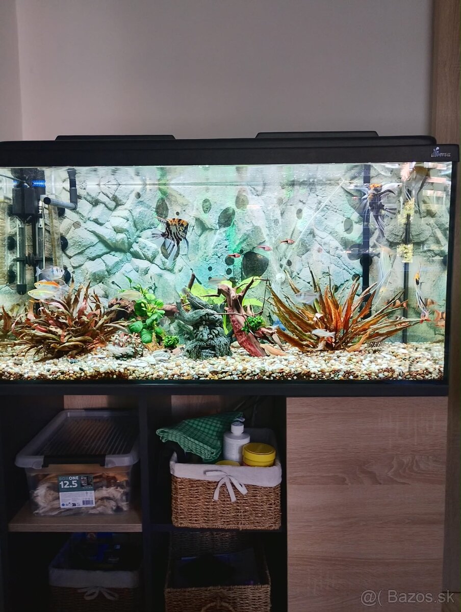 Predám komplet akvárium - 2