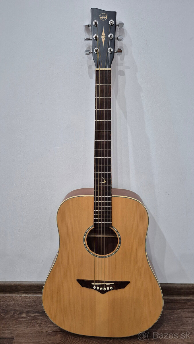 Akustická gitara VGS RT-10 ROOT - 2