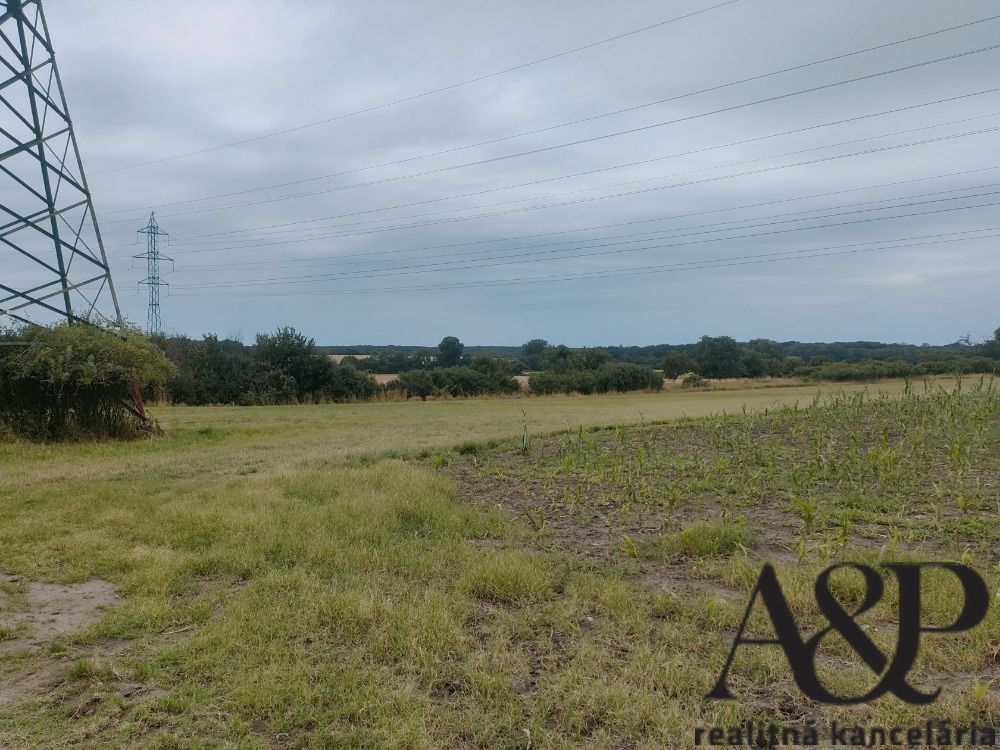 NA PREDAJ POZEMOK, 2879 M2, STUPAVA, okr.MALACKY - 2