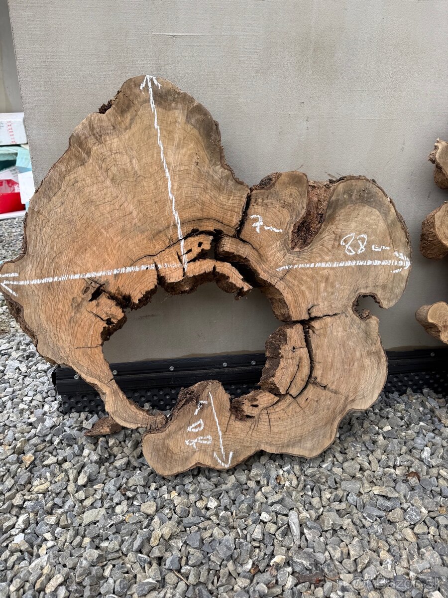 Olivové priečne rezy – vzduchosuché na konferenčné stolíky 🪵 - 2