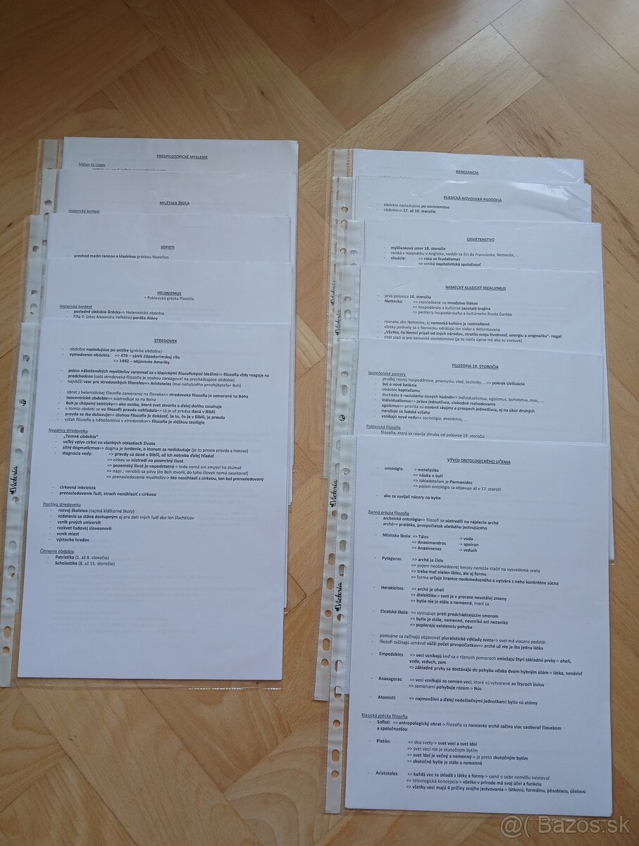 Kompletné poznámky na maturitu z občianskej náuky - 2