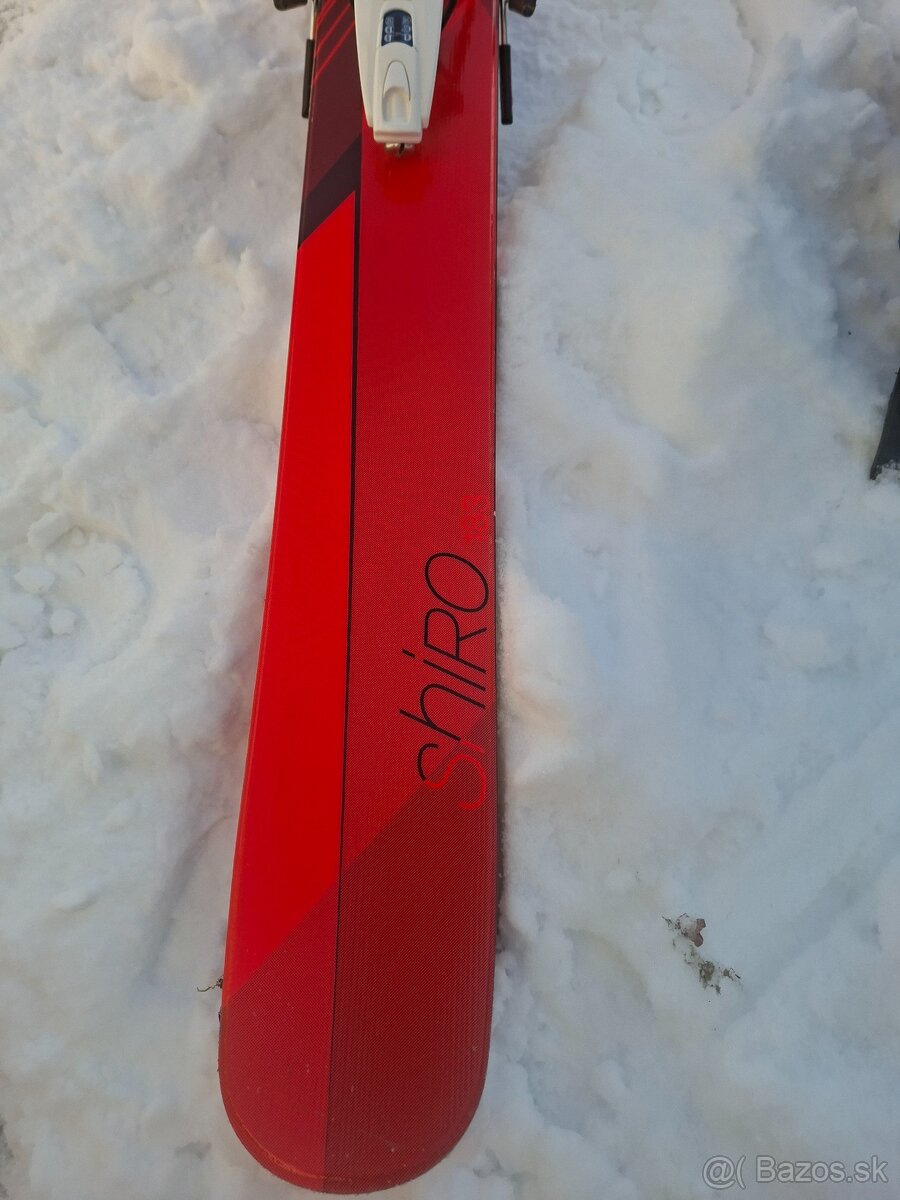 Predam lyze volk - 2