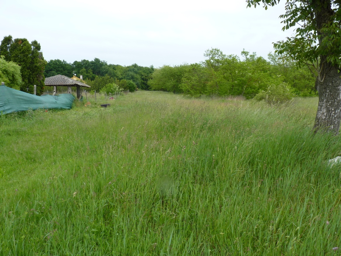 Predaj, pozemok, Marcelová - 2