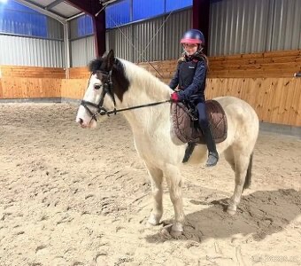 Hodný pony pro děti - 2