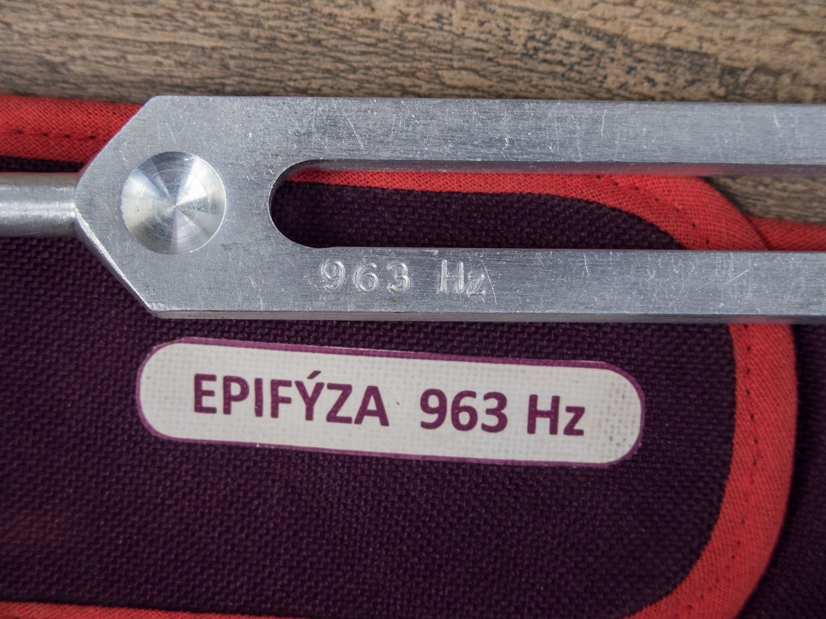 Ladička epifýza - 2