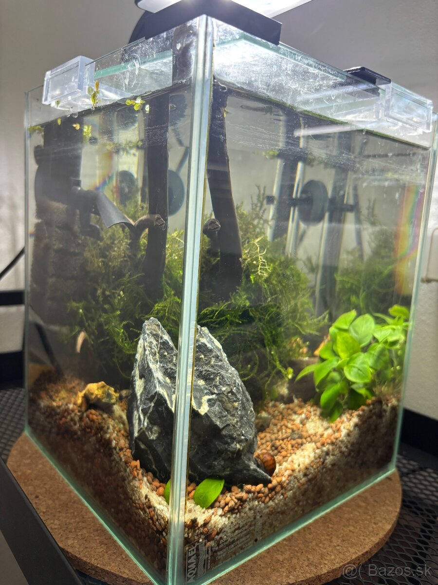 Akvárium Shrimp Set 10l - 2