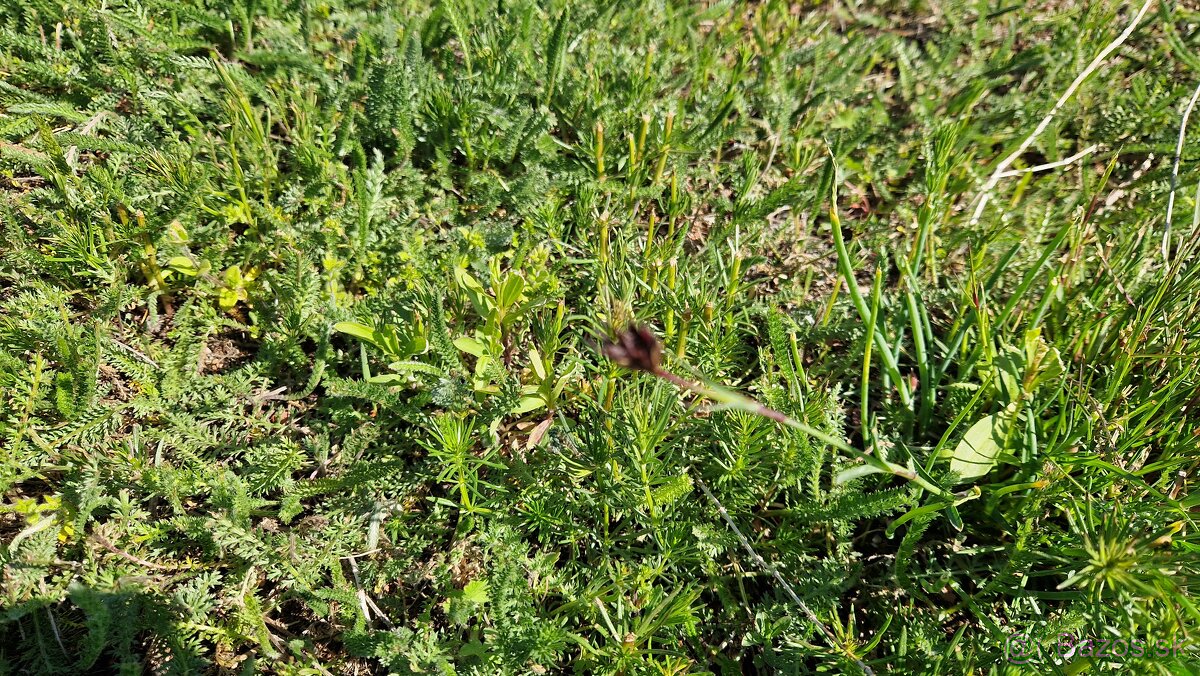 Lucna zmes - 2