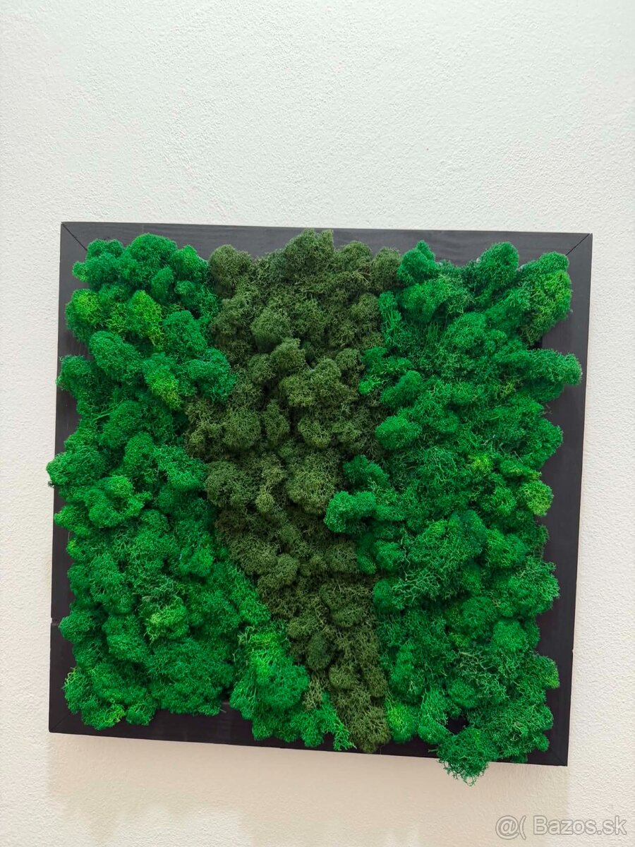 Machovy obraz 49x 49 cm - 2