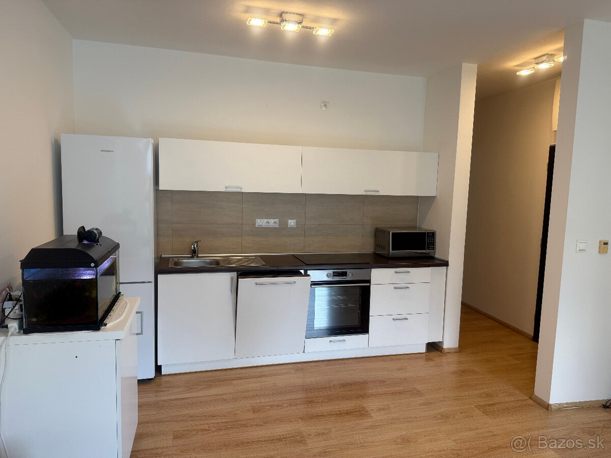 2izbový byt EURO HOME BÔRIK s vlastnou záhradou a parkovaním - 2