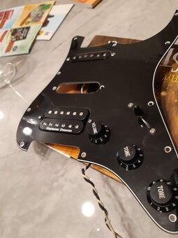 pickguard + potenciometre - 2