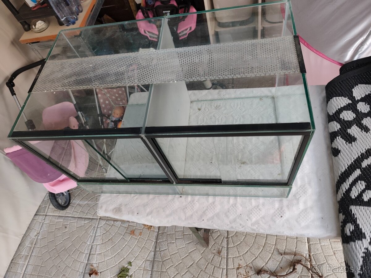 Terarium - 2