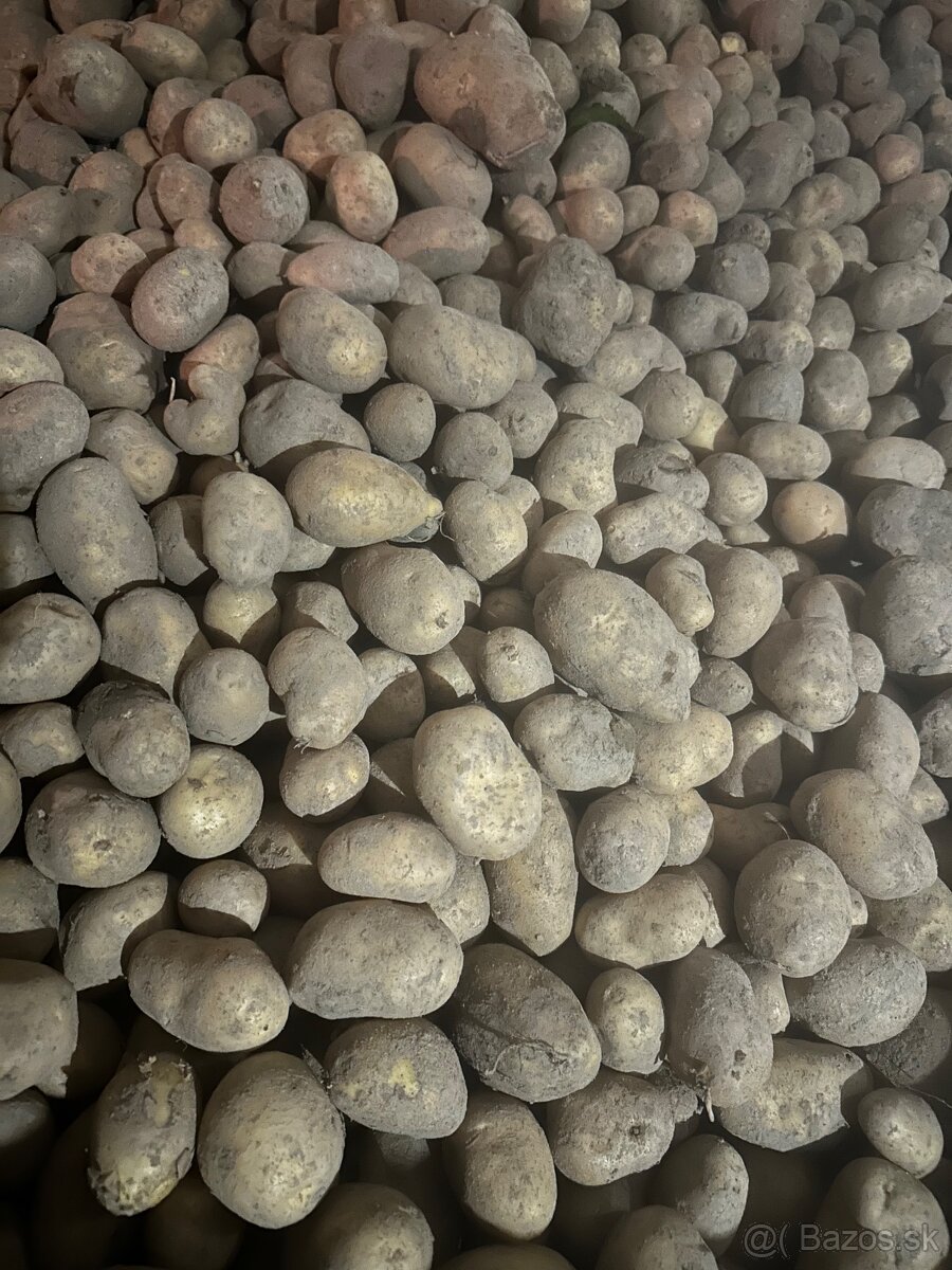 Nestriekané zemiaky - 2