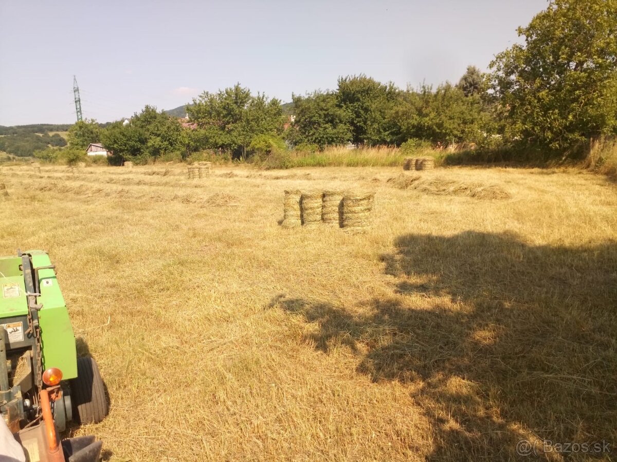 Seno na predaj - 2