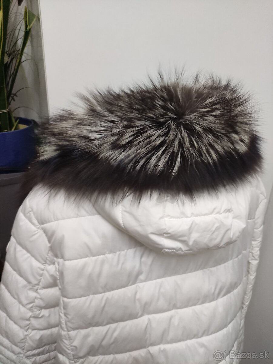 Pravá strieborná líška na kapucňu atď. - 2