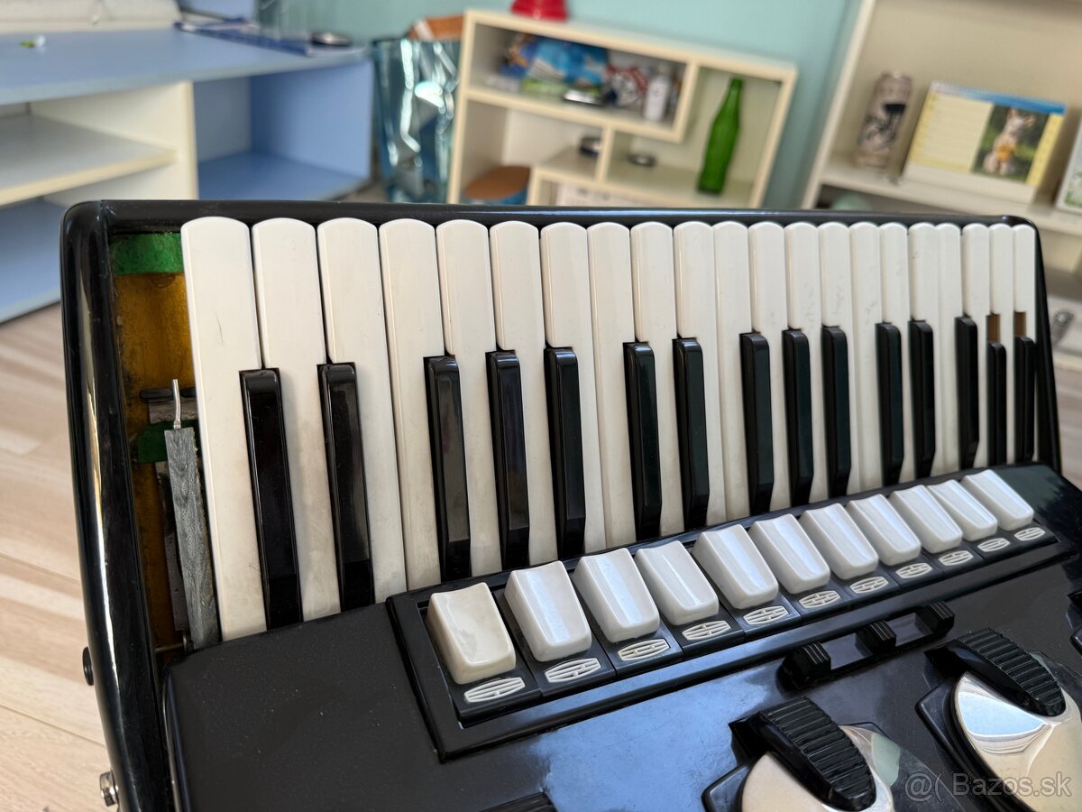 Akordeón Delicia IV - 2