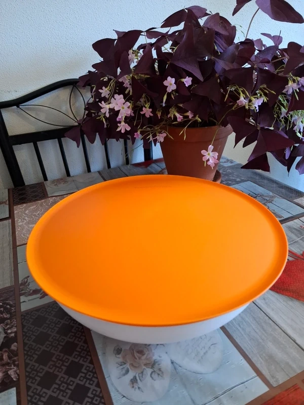 Allegra set 3 misiek - pomarančová od Tupperware - 2