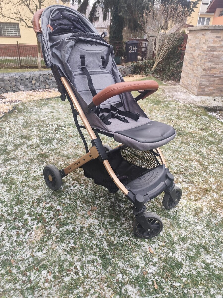 Cestovný kočík - 2