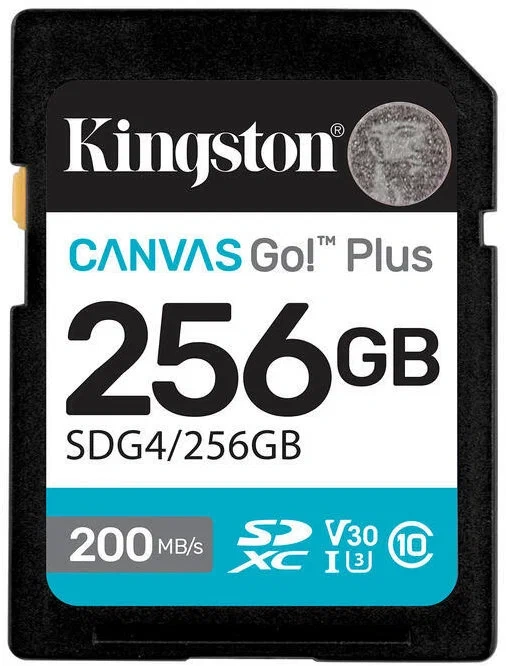 Kingston SDXC Canvas Go Plus Gen4 256 GB - 2