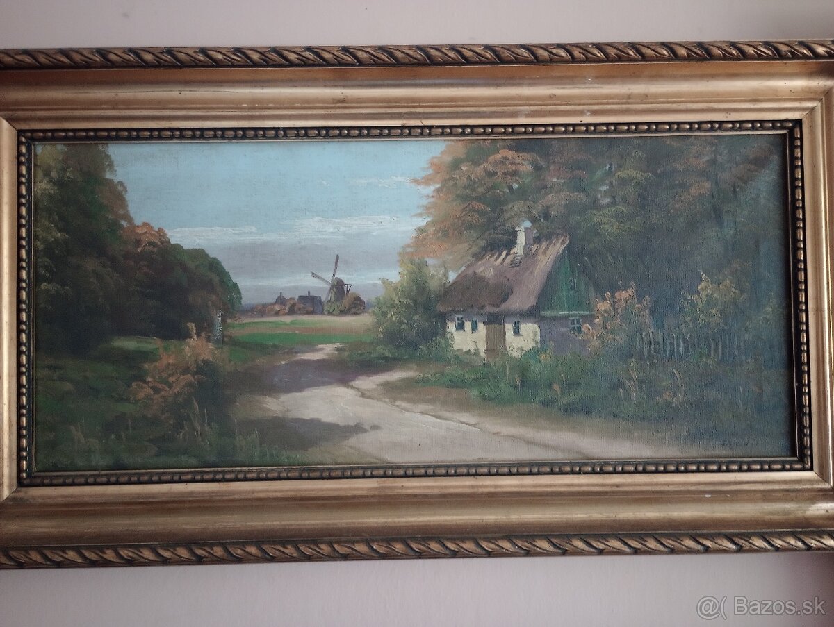 Krásny Nilsen Skjold - 2