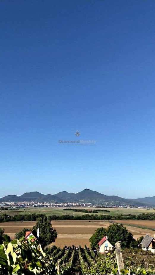 Záhradný domček s vinohradom - 2