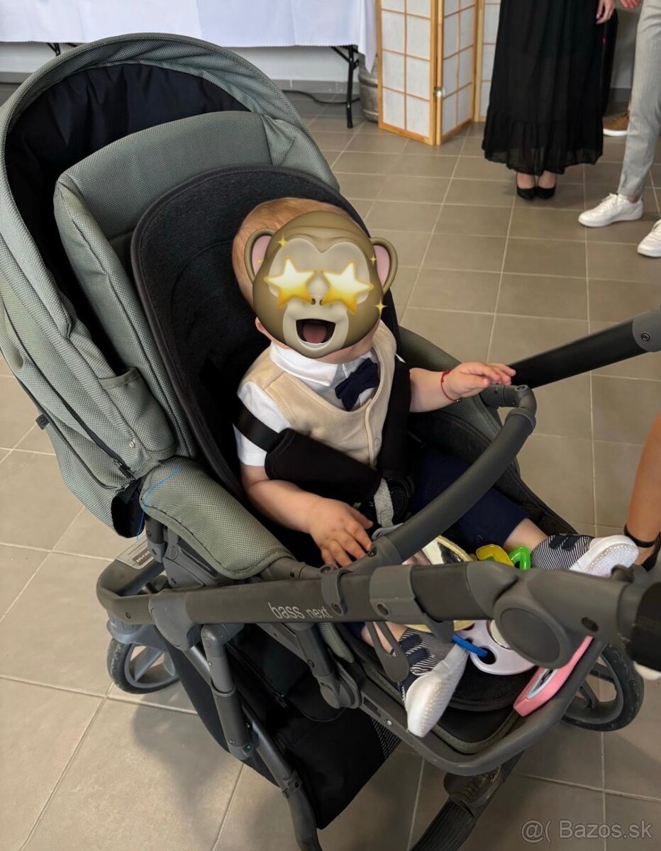 Kočiar ROAN 2in1 green - 2