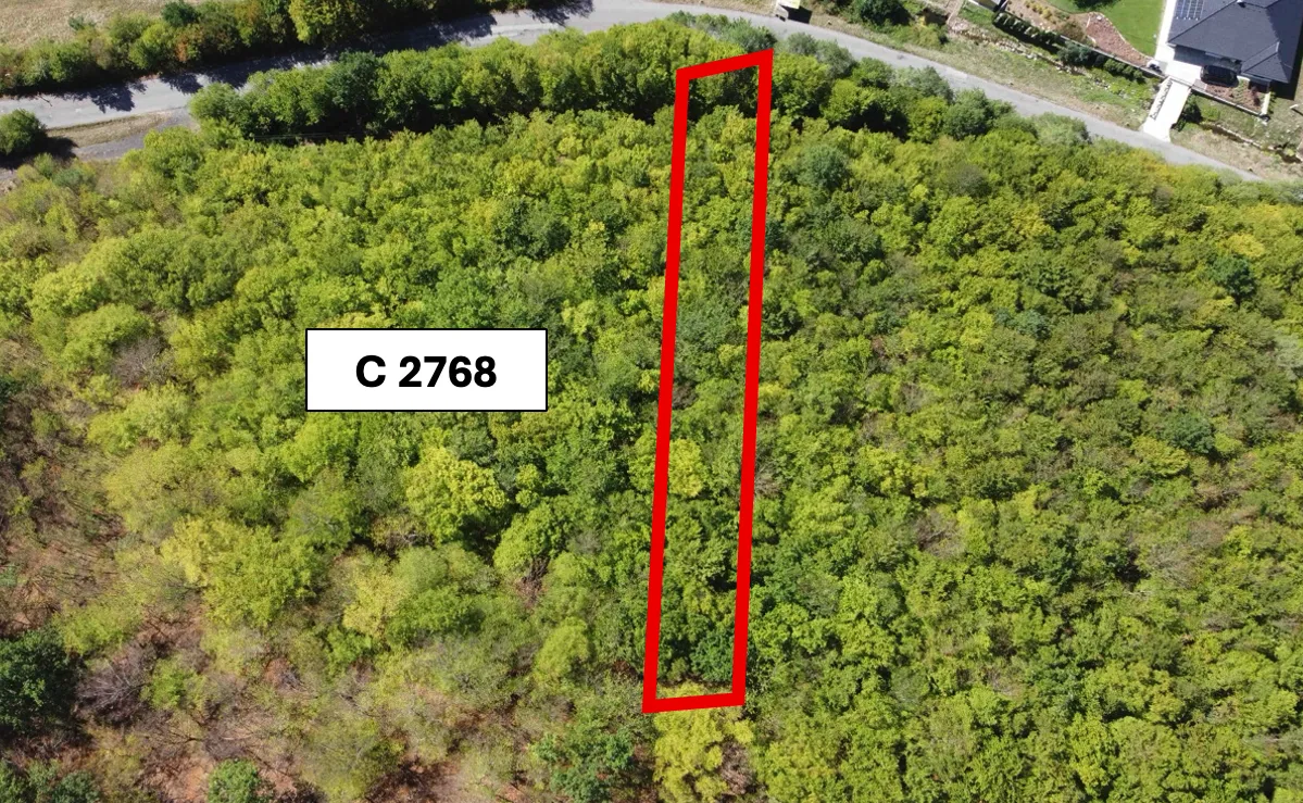 Župkov – 2.153 m2 LES v podiele 1/1 – Predaj - 2