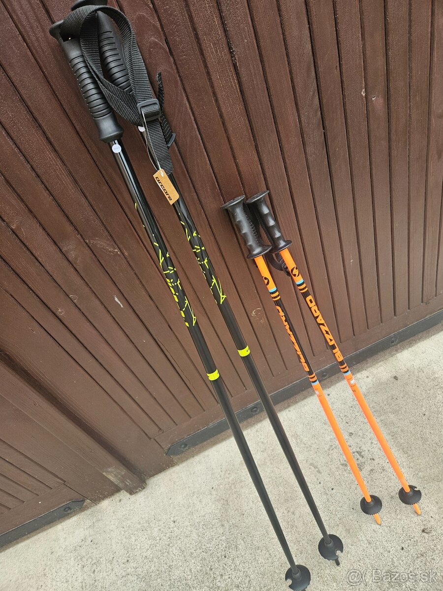 Lyziarske palicky - 2