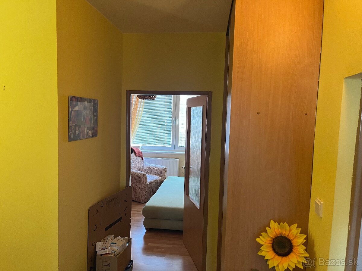 3 izbovy byt Sidlisko 3 - 2