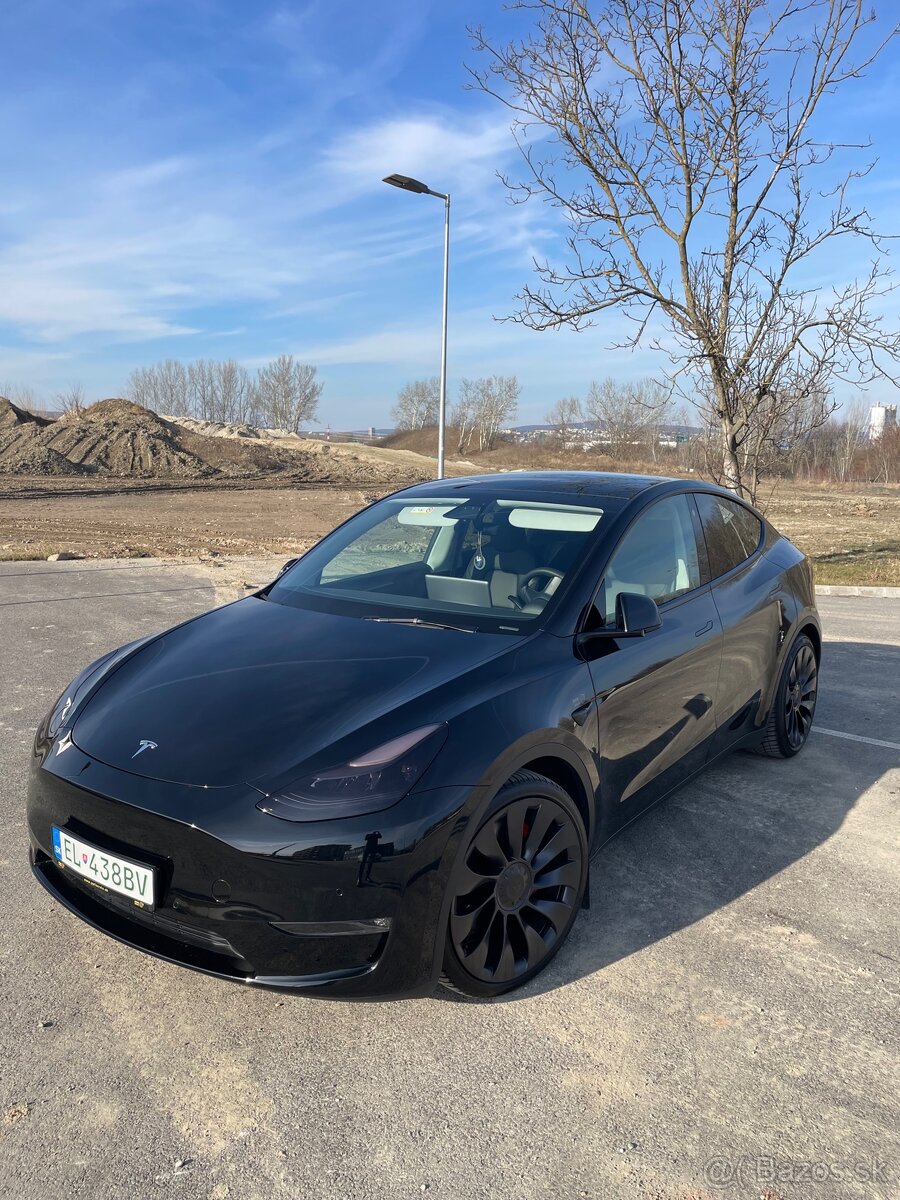 Predam Tesla model Y performance - 2