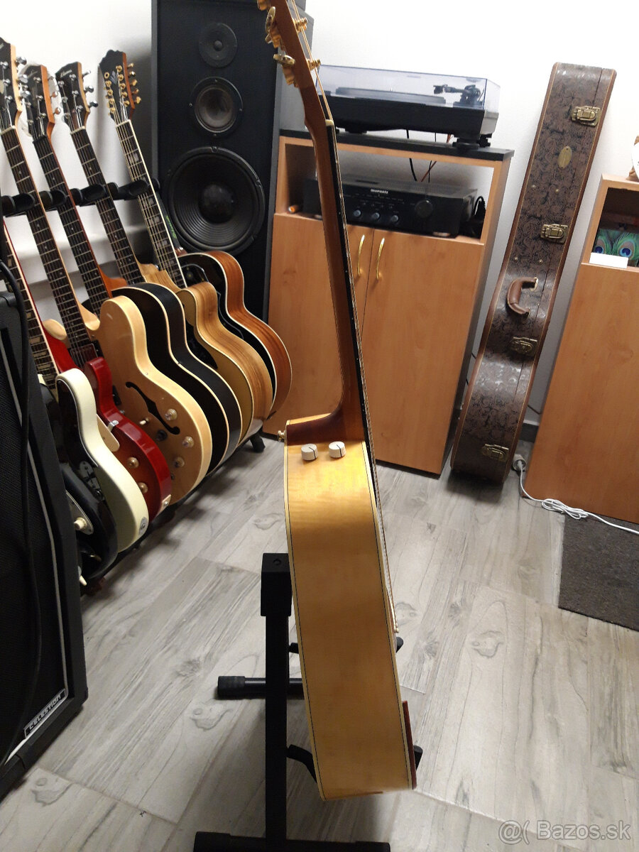 Elektroakustika Ibanez - 2