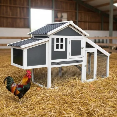 Kurník pre sliepky 2-4 - 2