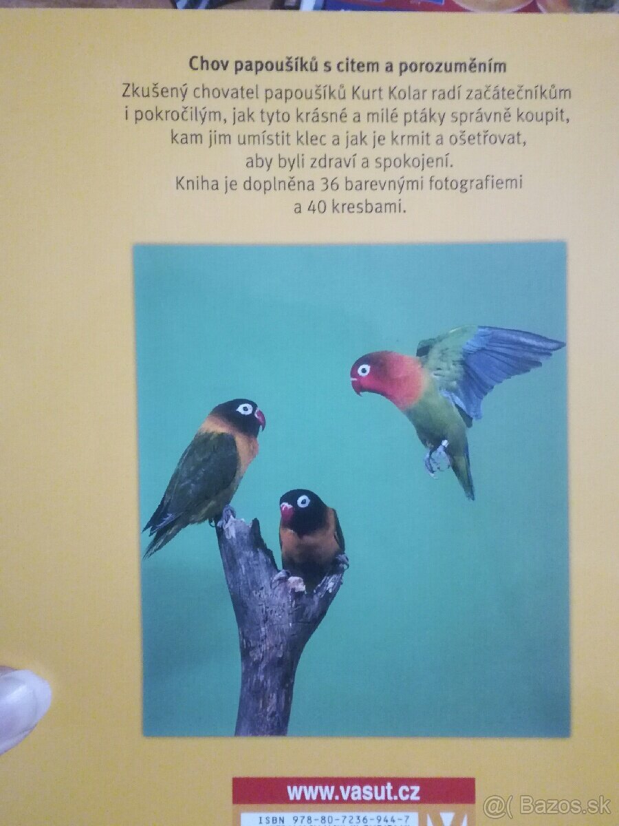PApagaje, papoušíci - 2