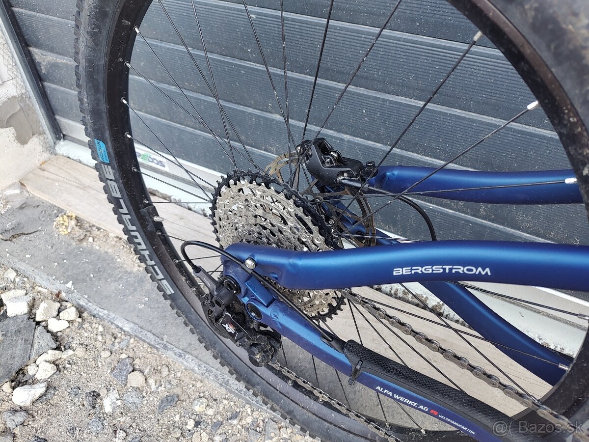 Bergstrom ebike Bosch 750Wh - 2