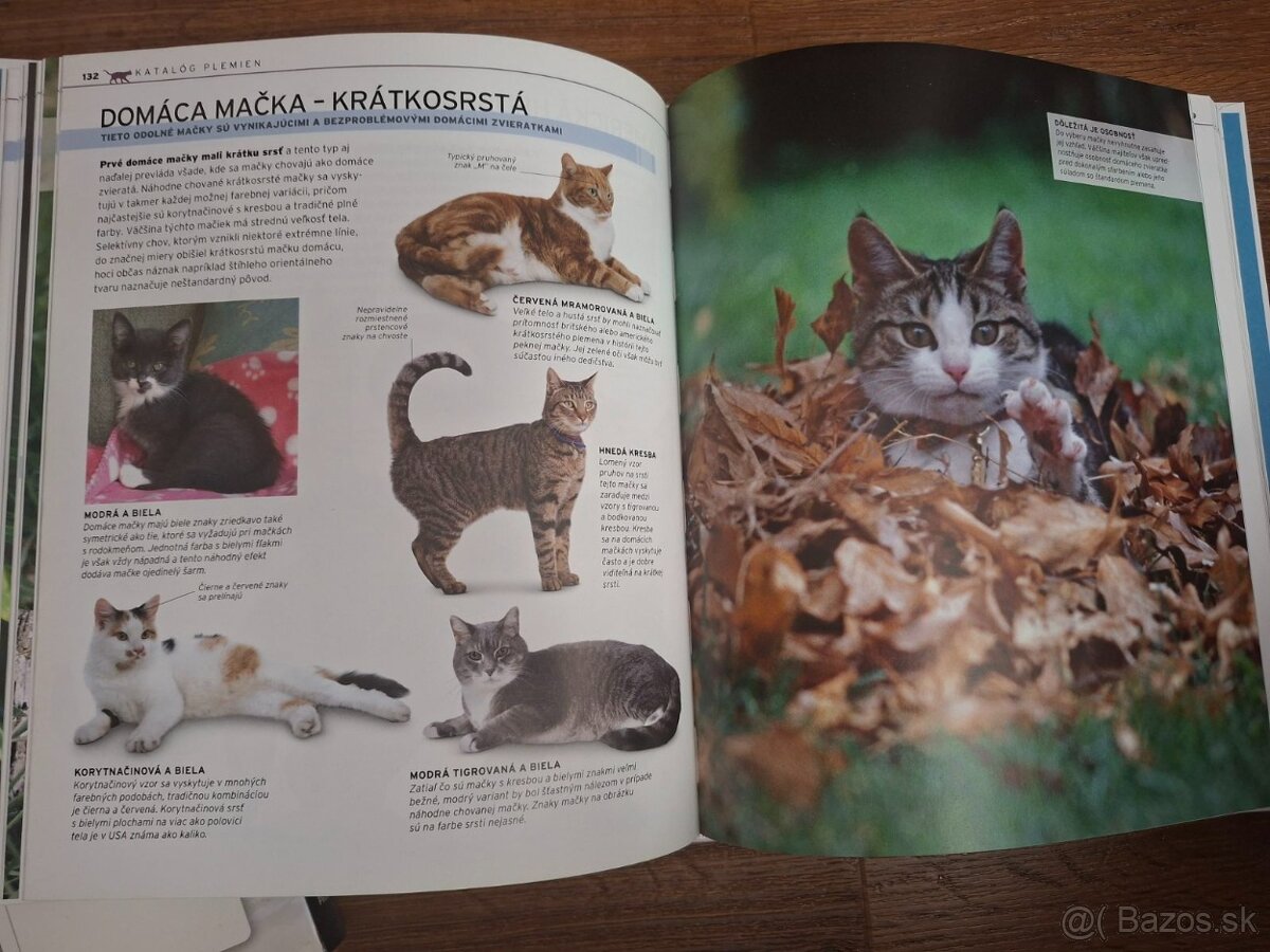Odborne knihy o mackach - 2