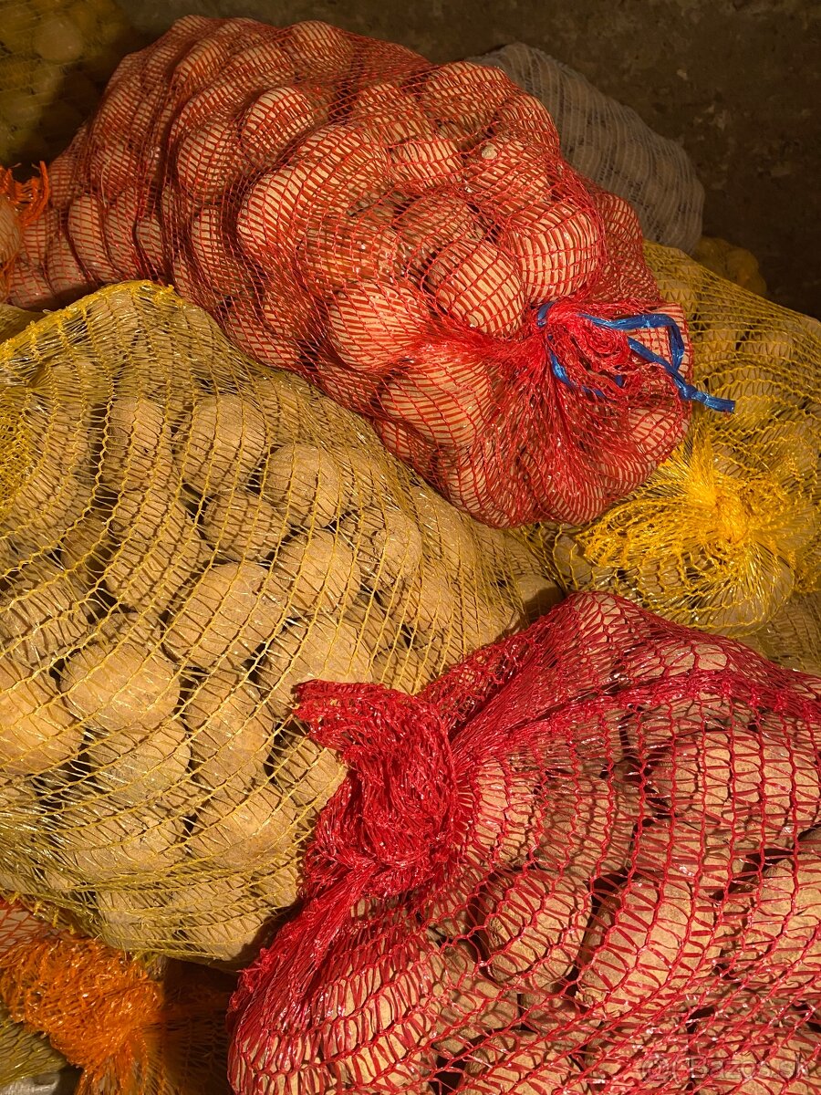 Predám domáce sadbové zemiaky - 2