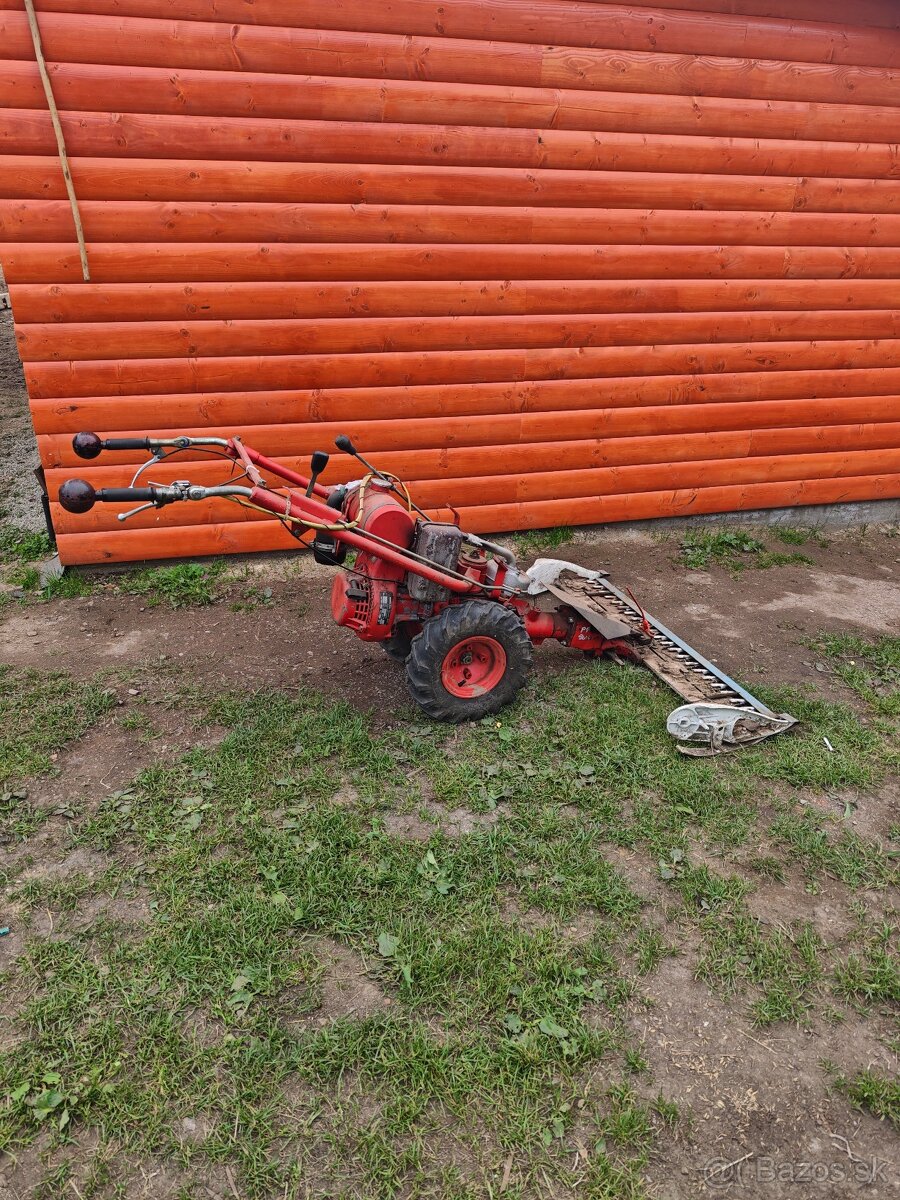 Kosačka Jičinka - 2
