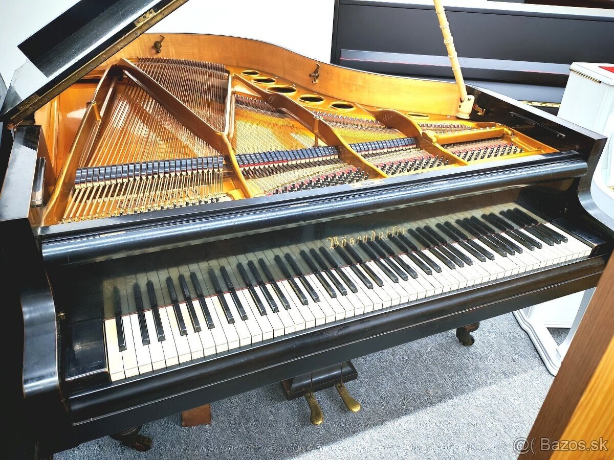 Jedinečný Bösendorfer dovoz celá SR - 2