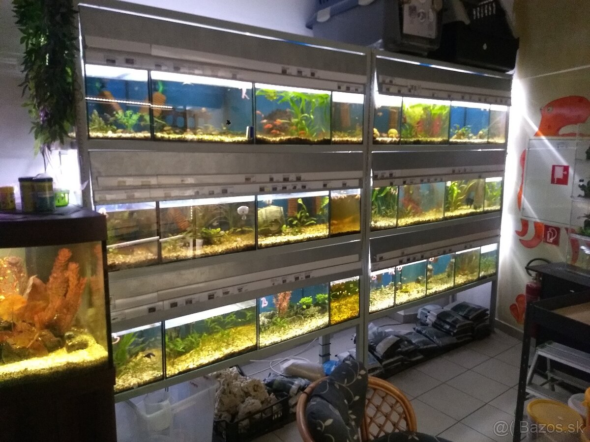 Predám akvarijnú stenu - 2