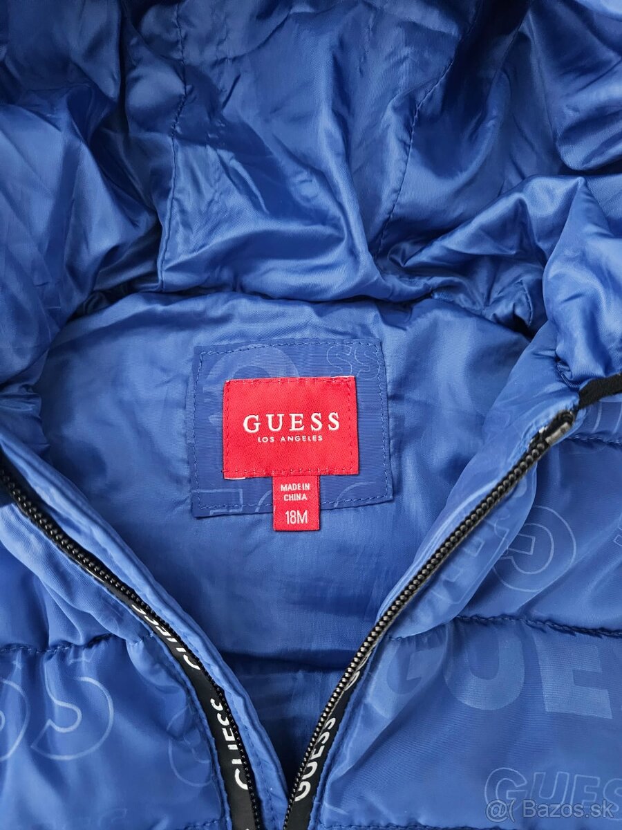 Vesta GUESS - 2